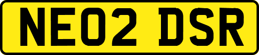NE02DSR