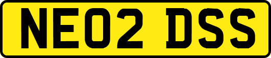 NE02DSS