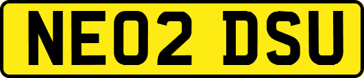 NE02DSU