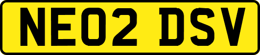 NE02DSV