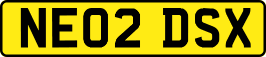 NE02DSX