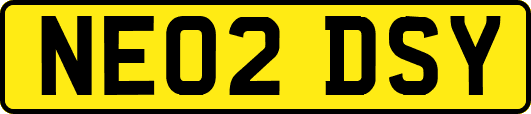 NE02DSY
