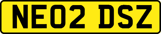 NE02DSZ