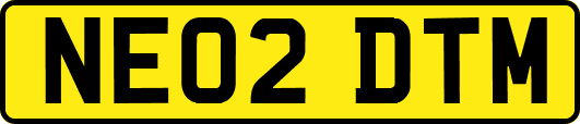 NE02DTM