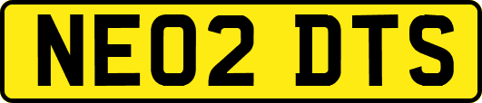 NE02DTS