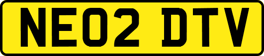 NE02DTV