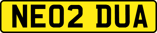 NE02DUA