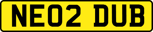 NE02DUB