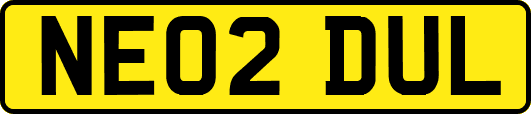 NE02DUL