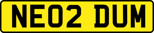 NE02DUM