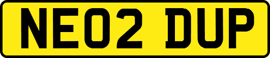 NE02DUP