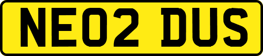 NE02DUS