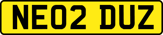 NE02DUZ