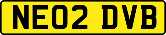 NE02DVB