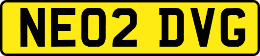 NE02DVG