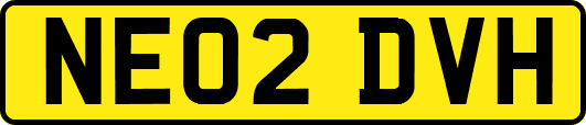 NE02DVH