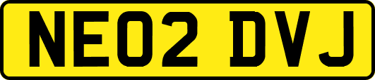 NE02DVJ