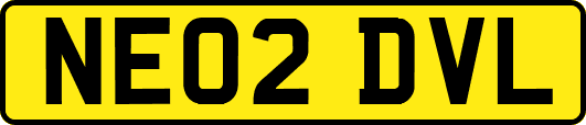 NE02DVL