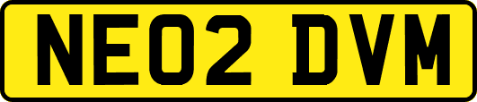 NE02DVM