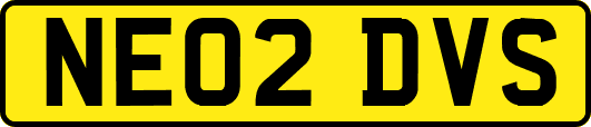 NE02DVS