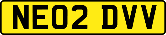 NE02DVV