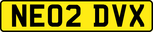 NE02DVX
