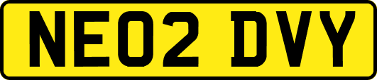 NE02DVY