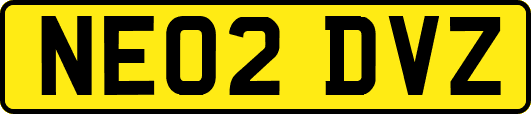 NE02DVZ