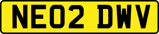 NE02DWV