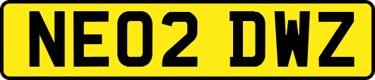 NE02DWZ
