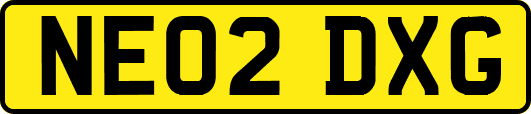 NE02DXG