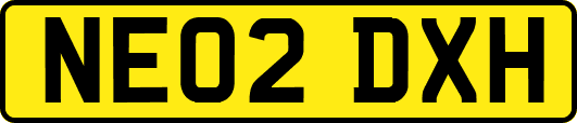 NE02DXH