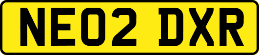 NE02DXR