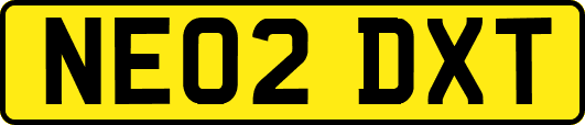 NE02DXT