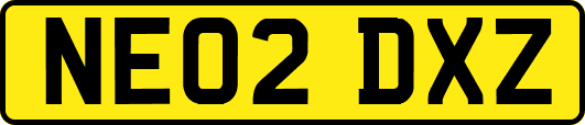 NE02DXZ