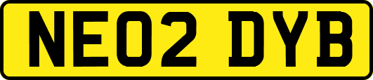 NE02DYB