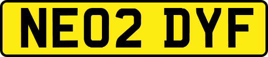 NE02DYF