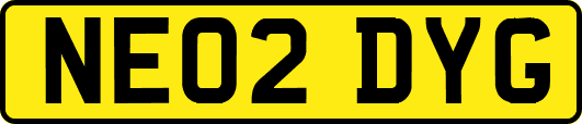 NE02DYG