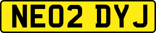 NE02DYJ