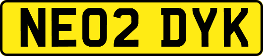 NE02DYK