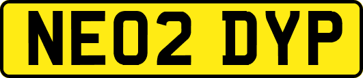 NE02DYP