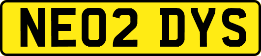 NE02DYS