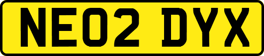 NE02DYX