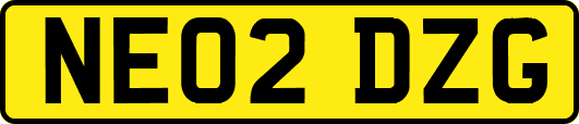 NE02DZG