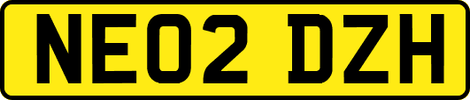 NE02DZH