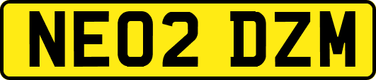 NE02DZM