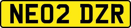 NE02DZR