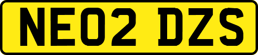 NE02DZS