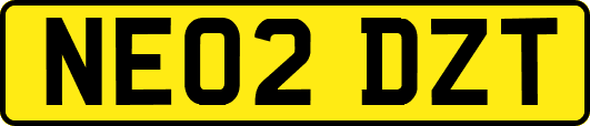 NE02DZT
