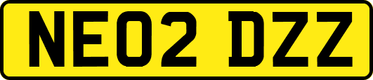 NE02DZZ